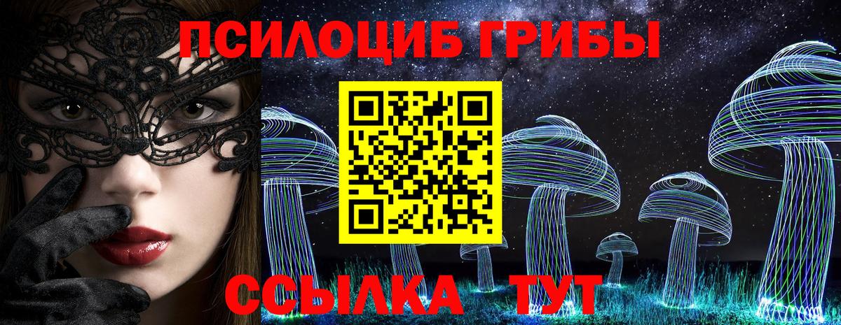 Псилоцибиновые грибы прущие грибы Качканар