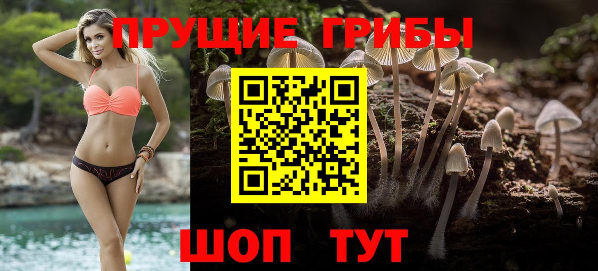 Псилоцибиновые грибы прущие грибы  Вход с VPN  Качканар 