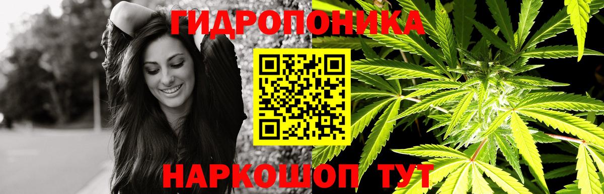 Бошки Шишки конопля Качканар